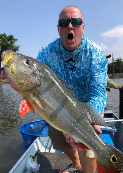 Peacock bass held during an Amazon fishing expedition in Brazil