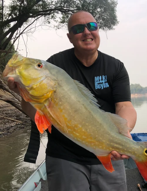Peacock bass are held along the Amazon River in Brazil