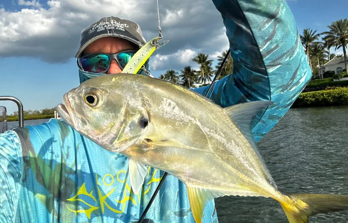 Close-up of a saltwater fish caught near the Florida shoreline