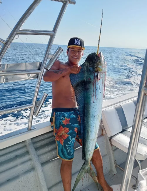 Large mahi-mahi held on a fishing boat