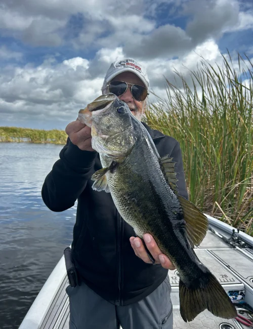 Person holding a largemouth bass near shoreline reeds on Headwaters Lake